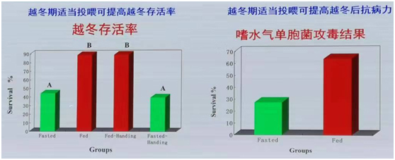 未標題-2.jpg